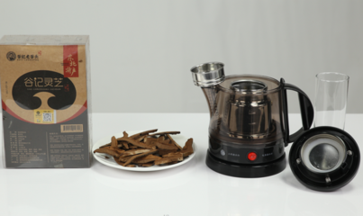 養生壺萃取靈芝茶