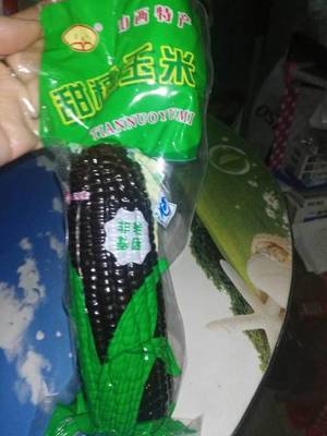 洪谷記