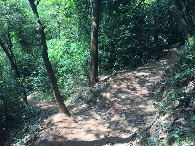 靈魂】和【身體,必須有一個在路上之游梅花谷記