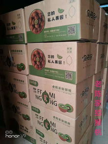 鳳鳴谷獼猴桃農(nóng)產(chǎn)品品牌設(shè)計(jì)