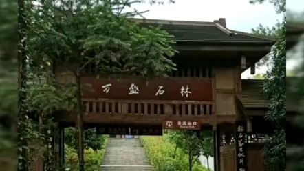 重慶萬盛黑山谷記行