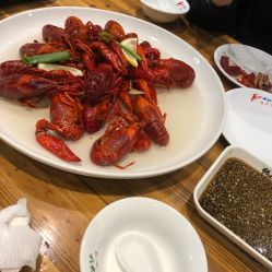 谷記煩不了龍蝦